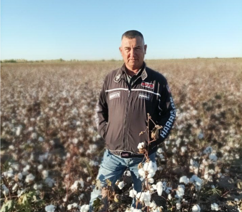 UZBEKISTAN’S COTTON SECTOR CANNOT THRIVE WITHOUT AUTONOMY FOR FARMERS