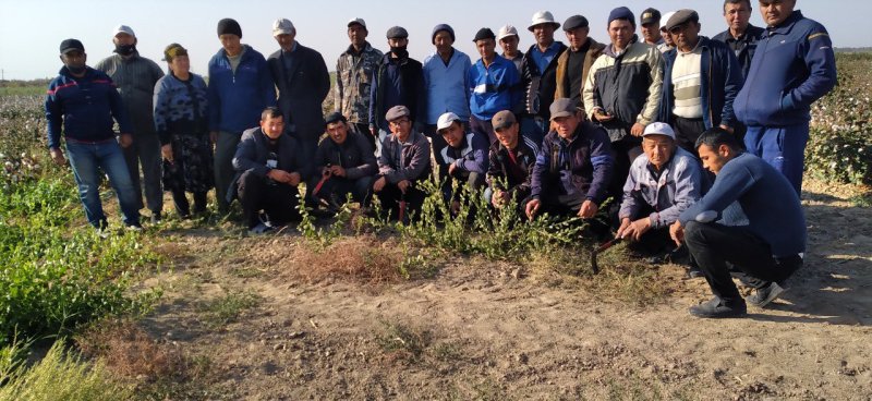 Узбекистан: IUF присоединился к петиции, призывающей к справедливости в отношении работников Indorama Agro