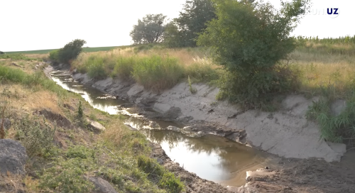 Нехватка воды в Ахангаране: фермеры недовольны незаконными отводами, облепившими и без того маловодный канал