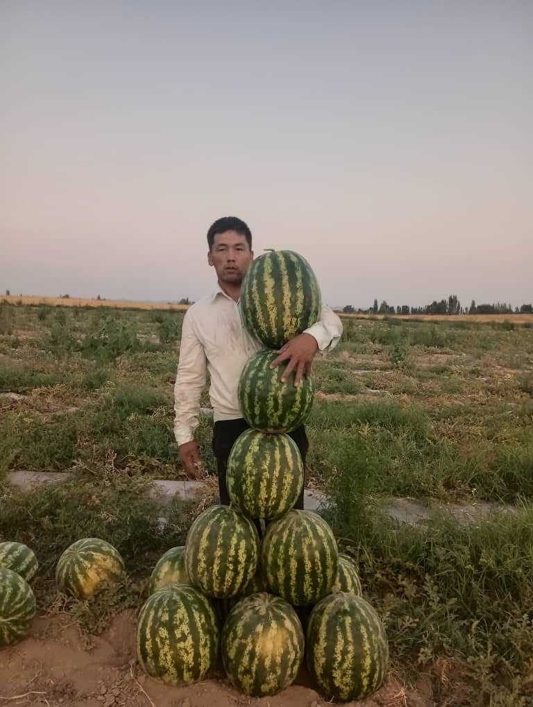 Молодой фермер из Кыргызстана получил специальную награду ФАО за инновации и развитие сельских сообществ