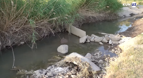 Оҳангарондаги сув тақчиллиги: фермерлар каналдаги қўшимча қулоқлардан норози