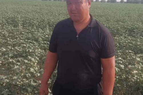Uzbek Farmer Punished with Water Cutoff After Refusing to Surrender Extra Grain to the State