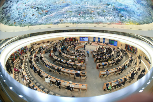 Начала работу 113-я сессия Международной конференции труда 