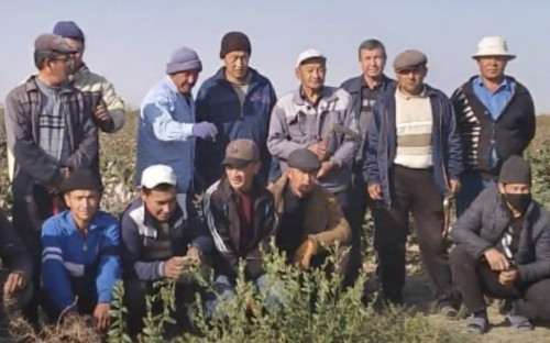JOINT STATEMENT: URGENT CALL ON THE IFC AND THE EBRD FOR REMEDY AND ACCOUNTABILITY AT INDORAMA AGRO, UZBEKISTAN