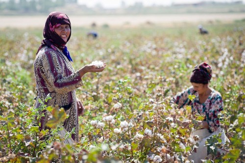 How to increase the efficiency of the agricultural land use